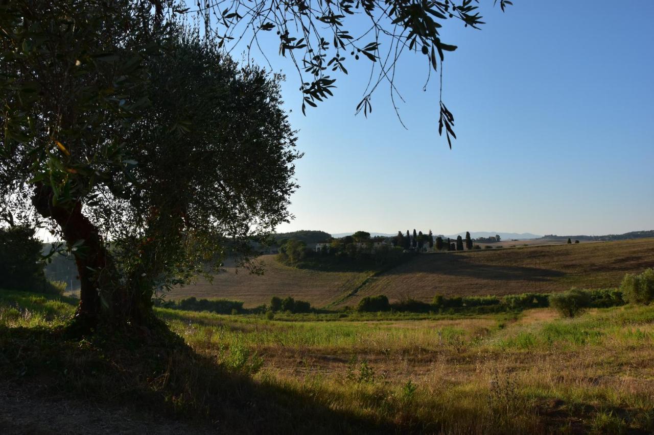 Agriturismo Cheloni Guasticce المظهر الخارجي الصورة