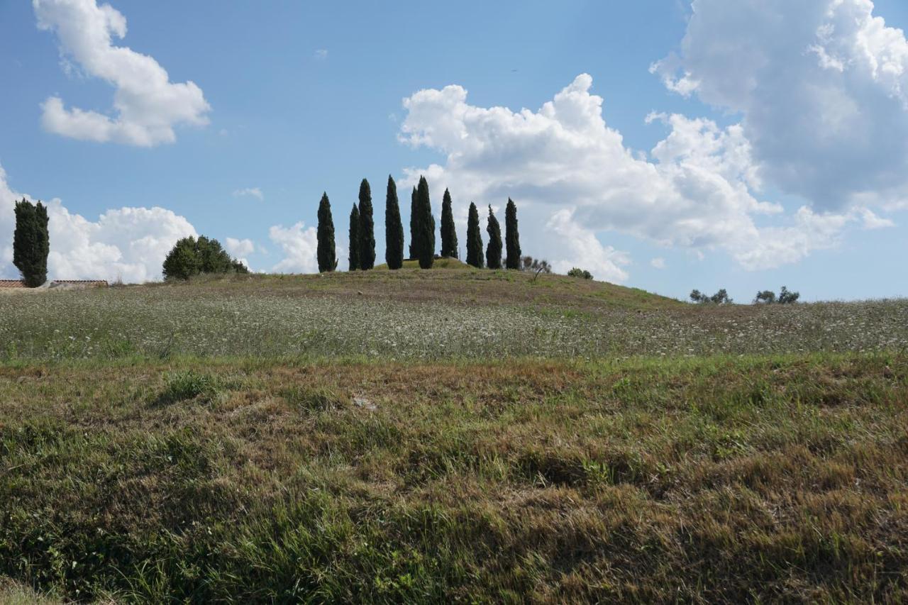 Agriturismo Cheloni Guasticce المظهر الخارجي الصورة
